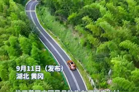 入围全国20强！湖北有条“最美自驾路”图片
