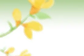 赏花、踏青去哪里？带上南川春日赏花指南出发！图片