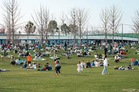 相聚在春天！代表委员们有哪些建议和期待？图片