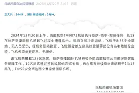 民航西藏机场通报：西藏航空一航班自拉萨起飞过程中遭遇鸟击随后返航，飞机已安全落地无人受伤图片