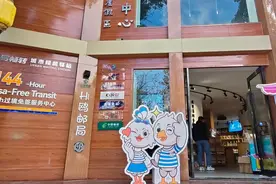 中转观鸥更easy！滇池边的城市候机驿站为中转游客增便利图片