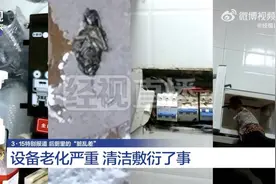 “业绩优先”食品安全成泡影 华莱士一门店被爆蟑螂横行后厨图片