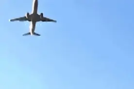瞬间产生2吨重冲击力！1只麻雀≈1颗炮弹，“飞鸟撞机”为何列入A级航空灾难？图片