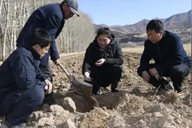 春风拂两会 倾听“她”声音图片