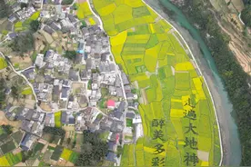 来贵州上春山 徜徉斑斓花海图片