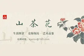 【山茶花·剧评】穿越历史烟云，重返上甘岭战场图片