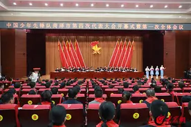中国少年先锋队菏泽市第四次代表大会召开图片
