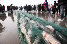 沈阳卧龙湖再现千年渔猎盛景图片