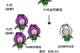 基因的探索史图片