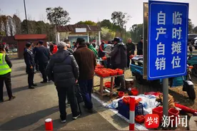 暖冬草莓滞销愁坏莓农，南京溧水城管无人机喊话暖心助农图片