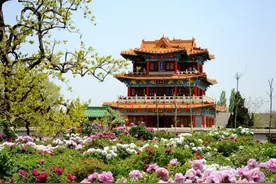 最新预测！最佳赏花期，绝佳赏花地，来啦！图片