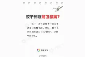 关于蚊子的冷知识来啦图片
