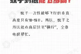 关于蚊子的冷知识来啦图片