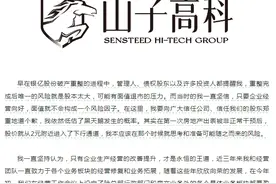 V观财报｜直接涨停！山子高科“80后”董事长停薪致歉，李书福扶持造车图片