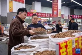 高质量发展调研行｜安徽亳州：药香四溢产业兴图片