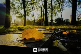 众拍丨休闲游玩好去处：银河公园秋色醉人图片