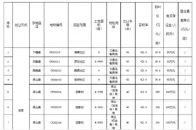 官宣！合肥长丰将出让10宗地块图片