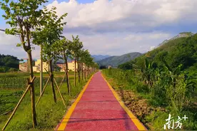 蓝钟镇沙坪村：推动一河两景连片开发｜典型村调研图片