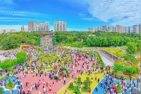 哈尔滨香坊区通过城市绿化提升人居品质图片