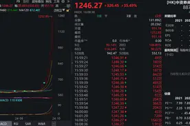 暴涨206%！牛市“旗手”，见证历史！图片