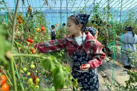 走进番茄园，这群小学生开启研学之旅图片