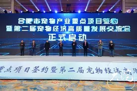 合肥宠物保有量超35万只 养宠年消费达15亿元图片