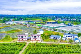 “民生柠檬贷”助力潼南柠檬产业发展图片
