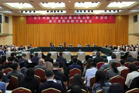 浙江代表团举行开放团组会议图片