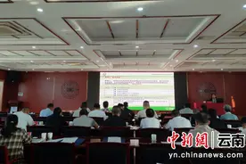 墨江县举行橡胶林FSC认证启动暨联合认证培训会图片
