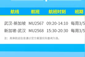6月21日，东航武汉直飞新加坡图片