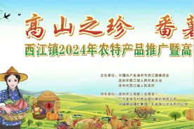 扩散周知！连州西江镇2024高山番薯文化节活动攻略来啦→图片