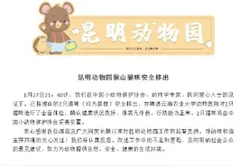 昆明动物园猴山猫咪27日已安全移出图片