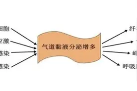 咳出白痰、黄痰、黑痰分别代表啥？江苏疾控提醒→图片