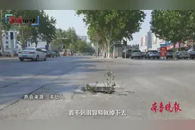 壹点帮办|下水道井盖维修后仍存安全隐患？相关部门：立即维修图片