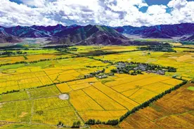 山东对口支援日喀则——携手共赴“泰山珠峰之约”图片