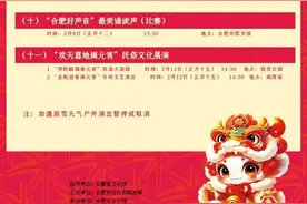 合肥即将启动！持续22天！灯展、庙会……图片