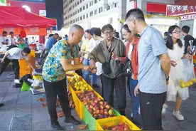 价廉物美 油桃畅销图片