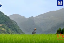 他们，把生命奉献给大山图片