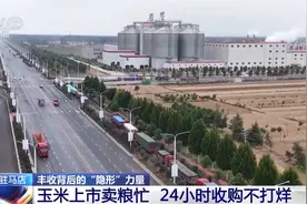 从“农头”到“工尾” 玉米丰收背后的产业链有多长？图片
