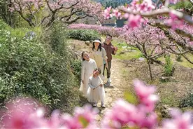 福安：春韵万象 文旅勃发图片