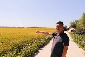 沈阳康平：整治促“地”利  乡村“人”更和图片