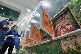 中国科技馆近百张图片邀观众“与象同行”图片