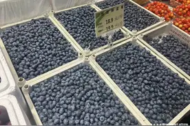 蓝莓自由来了？记者实探青岛市场，商家及种植户这么说图片