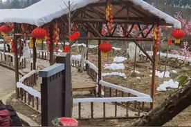 成都一景区雪村被曝用棉花造雪景，致歉称已清理！将闭园升级图片