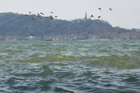 今天出门是被风推着走的，浙江最大风力在这里图片