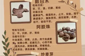 健康小站丨当中药材遇上“美拉德”风，会擦出怎样的火花？图片