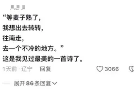 “种完麦子，我就往南走”，感动全网的麦子阿姨找到了 ！图片