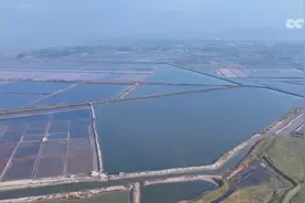 鱼虾满仓捕捞忙 “海上风电+海洋牧场”“盐田资源+自主繁育”显智慧图片