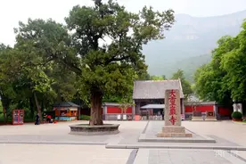 济南：文化“两创”赋能  “摩登”古刹“破圈”图片