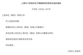 华虹集团换帅！上海联和投资董事长秦健接任 将推进大华虹“一体化”战略布局图片